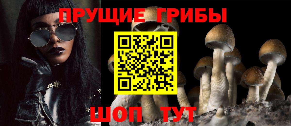 Галлюциногенные грибы ЛСД  Галлюциногенные грибы Magic Shrooms  Мирный  Вход с VPN 